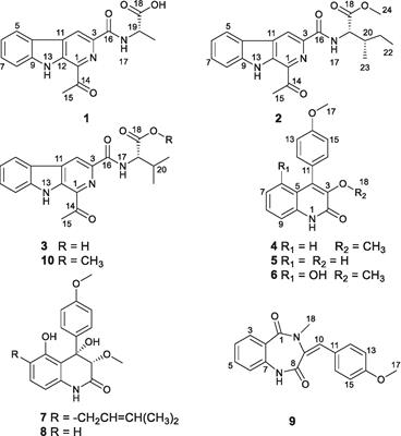 Alkaloid diversity expansion of a talent fungus Penicillium raistrichii through OSMAC-based cultivation